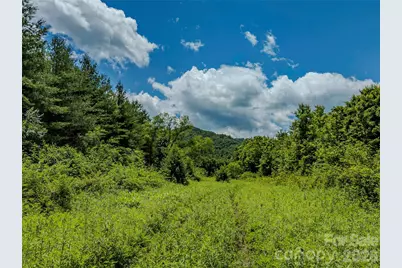 Tbd Canebrake Road, Pisgah Forest, NC 28768 - Photo 3