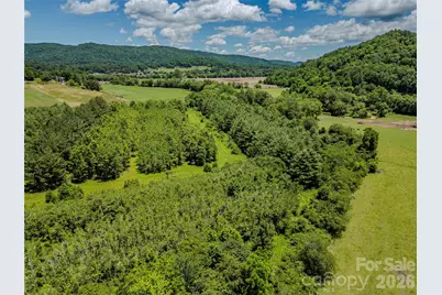 Tbd Canebrake Road, Pisgah Forest, NC 28768 - Photo 37
