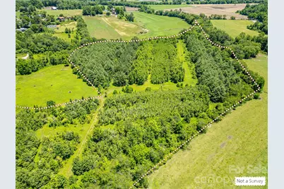 Tbd Canebrake Road, Pisgah Forest, NC 28768 - Photo 35