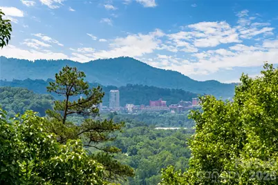 24 Audubon Drive, Asheville, NC 28804 - Photo 39