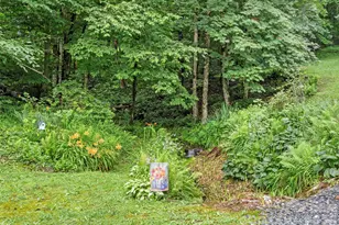 1210 Blevins Branch Rd, Bakersville, NC 28705 - Photo 27