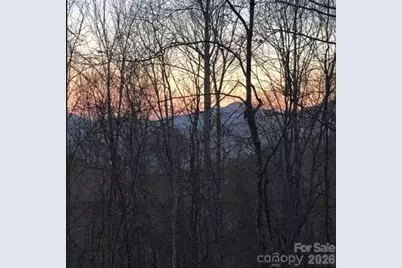49 Brandywine Road, Waynesville, NC 28786 - Photo 37