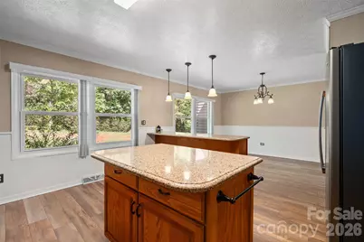 519 Nellie John Drive, Clyde, NC 28721 - Photo 19