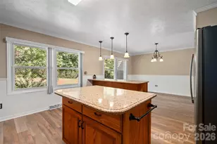 519 Nellie John Dr, Clyde, NC 28721 - Photo 19