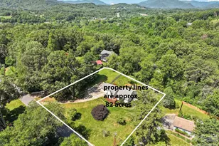 519 Nellie John Dr, Clyde, NC 28721 - Photo 3