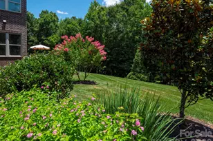 8161 Clems Branch Rd, Fort Mill, SC 29707 - Photo 41