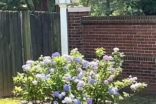 10300 Lady Grace Ln, Charlotte, NC 28270 - Photo 21