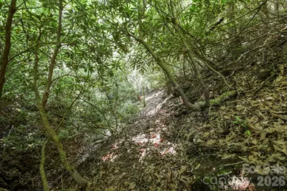 Tbd Big Valley Road, Pisgah Forest, NC 28768 - Photo 11