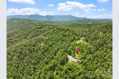 8709 Hwy 226A Highway, Little Switzerland, NC 28749 - Photo 31