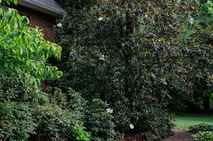 119 Country Meadow Ln, Kings Mountain, NC 28086 - Photo 47