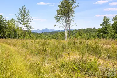 Lot #2 Clark Road, Rutherfordton, NC 28139 - Photo 1