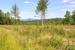 Lot #2 Clark Rd, Rutherfordton, NC 28139 - Photo 1