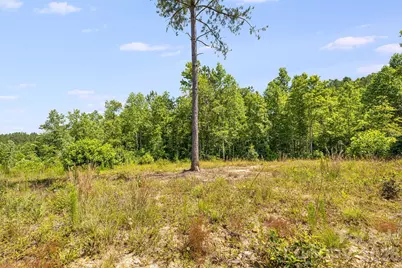 Lot #2 Clark Road, Rutherfordton, NC 28139 - Photo 13