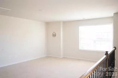 341 Runner Stone Lane, Fort Mill, SC 29715 - Photo 19