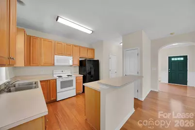 3917 Caliper Place, Fort Mill, SC 29708 - Photo 5