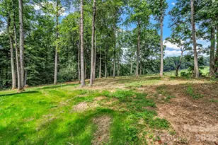 80 Goldenwood Ln, Mills River, NC 28759 - Photo 45