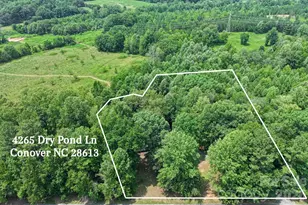 4265 Dry Pond Ln, Conover, NC 28613 - Photo 33