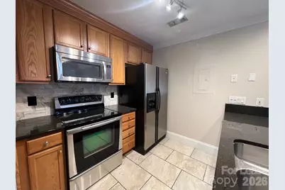18733 Vineyard Point Lane, Cornelius, NC 28031 - Photo 13