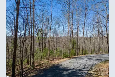 132 Overlook Park Drive #51, Hendersonville, NC 28792 - Photo 11