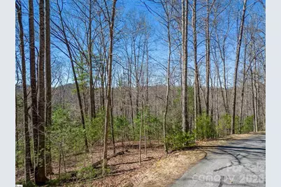 132 Overlook Park Drive #51, Hendersonville, NC 28792 - Photo 1