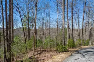 132 Overlook Park Dr, Hendersonville, NC 28792 - Photo 1
