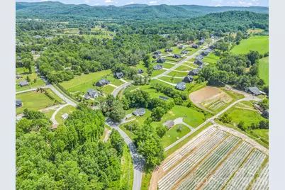 210 Banner Farm Road, Mills River, NC 28759 - Photo 45