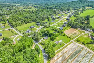 210 Banner Farm Rd, Mills River, NC 28759 - Photo 45