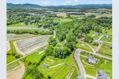 210 Banner Farm Road, Mills River, NC 28759 - Photo 47