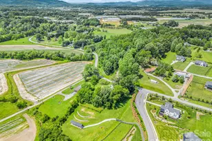 210 Banner Farm Rd, Mills River, NC 28759 - Photo 47