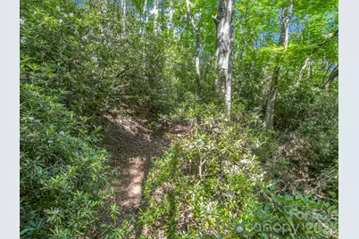 0 Vineyard Hill Drive, Fletcher, NC 28732 - Photo 17