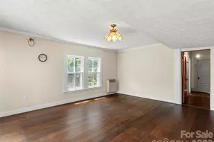 54 Louisiana Ave, Saluda, NC 28773 - Photo 19