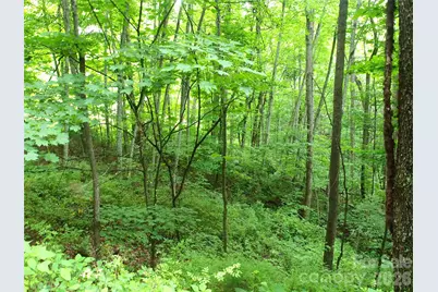 00 Sage Lane #4, Waynesville, NC 28785 - Photo 5