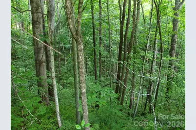 00 Sage Lane #4, Waynesville, NC 28785 - Photo 11