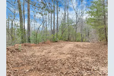 Tbd Deep Woods Lane #102, Saluda, NC 28773 - Photo 5