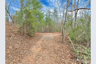 Tbd Deep Woods Lane #102, Saluda, NC 28773 - Photo 1
