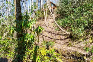 3458 Dicks Creek Rd, Whittier, NC 28789 - Photo 17
