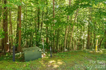 Tbd Solomon Circle #16 & 17, Hendersonville, NC 28739 - Photo 29