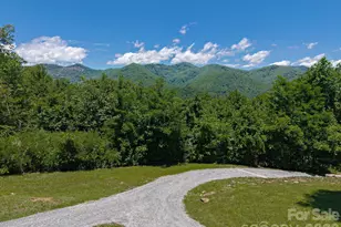 59 W Canoe Creek Dr, Tuckasegee, NC 28783 - Photo 5