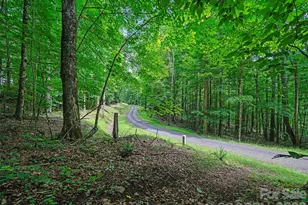 000 Shadow Moss Dr, Burnsville, NC 28714 - Photo 1