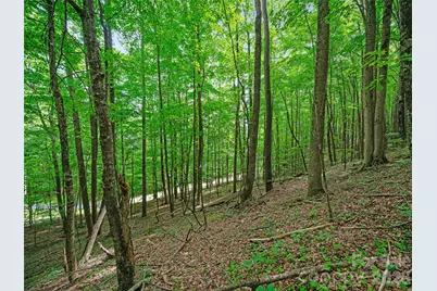 000 Shadow Moss Drive #8B, Burnsville, NC 28714 - Photo 5
