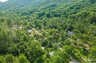 80 Webb Cove Rd, Asheville, NC 28804 - Photo 39