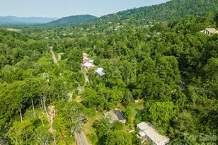 80 Webb Cove Rd, Asheville, NC 28804 - Photo 47