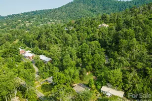 80 Webb Cove Rd, Asheville, NC 28804 - Photo 35