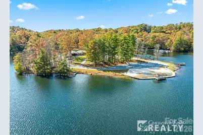 3125 Connestee Trail, Brevard, NC 28712 - Photo 47