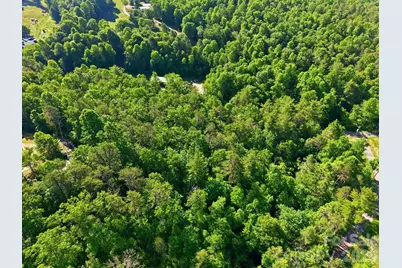 9999 Old Fort Road, Black Mountain, NC 28711 - Photo 7