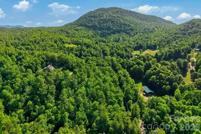 9999 Old Fort Road, Black Mountain, NC 28711 - Photo 15