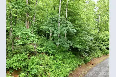 9999 Blue Ridge Drive S, Marion, NC 28765 - Photo 7