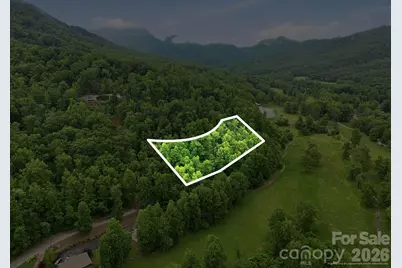 9999 Blue Ridge Drive S, Marion, NC 28765 - Photo 1