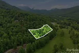 9999 Blue Ridge Dr S, Marion, NC 28765 - Photo 1