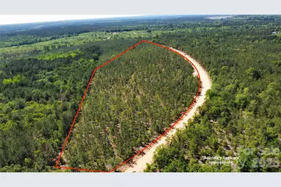 1045 McQueen Road, Patrick, SC 29584 - Photo 1